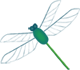 Dragonfly illustration