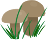 Mushrooms illustration