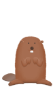 Beaver